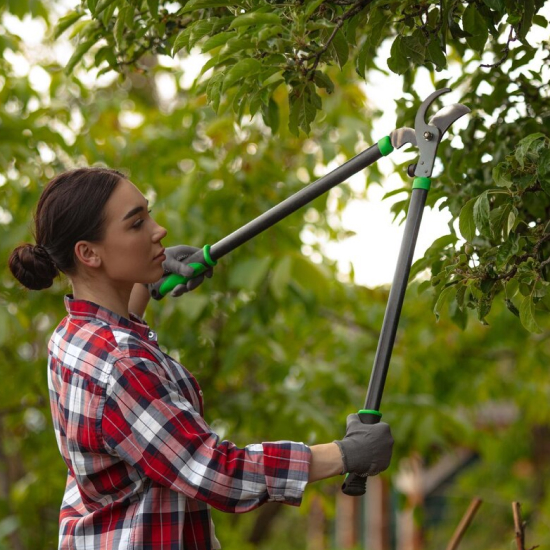 pruning-plants
